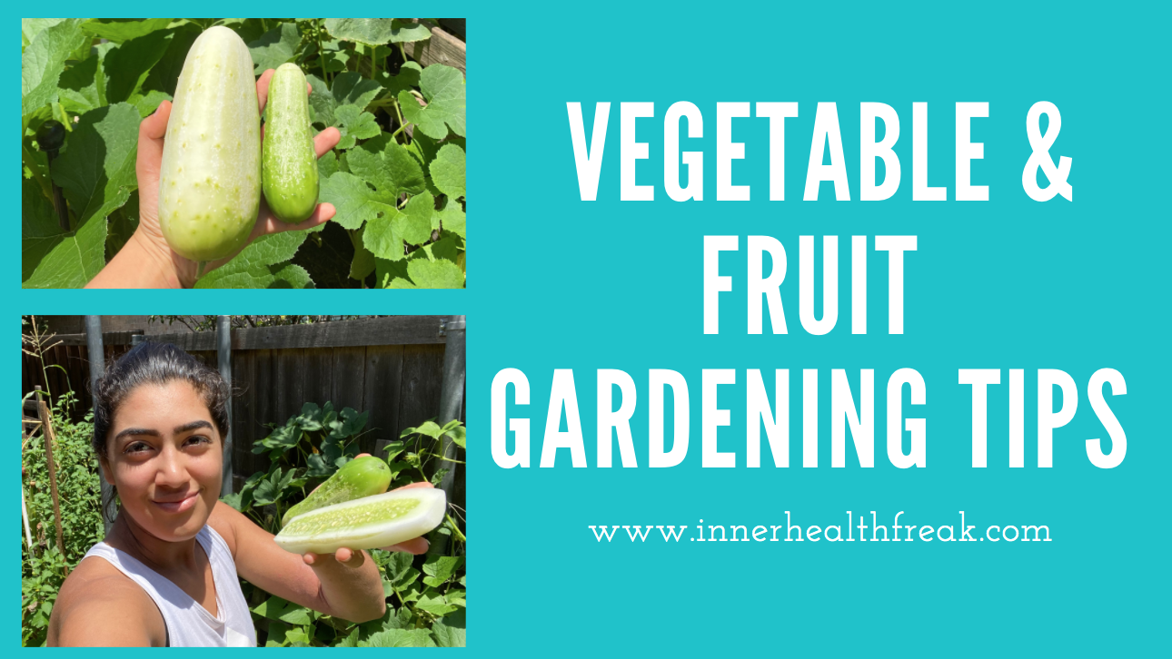 Vegetable and Fruit Gardening Tips